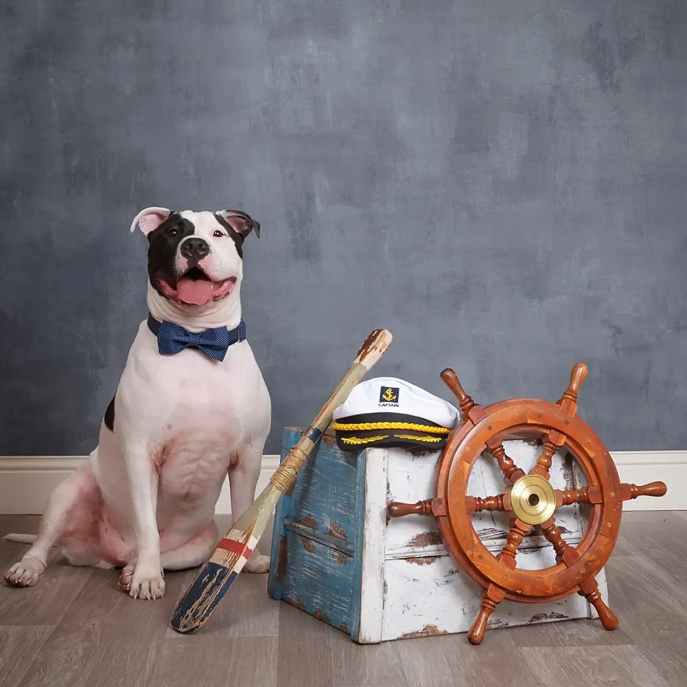 Lionet Paws Boy Dog Collar with Bowtie, Comfortable Adjustable Cute Navy Blue Bow Tie Collar for Male Puppies and Cats Gift, XXS, Neck 7-11 inches