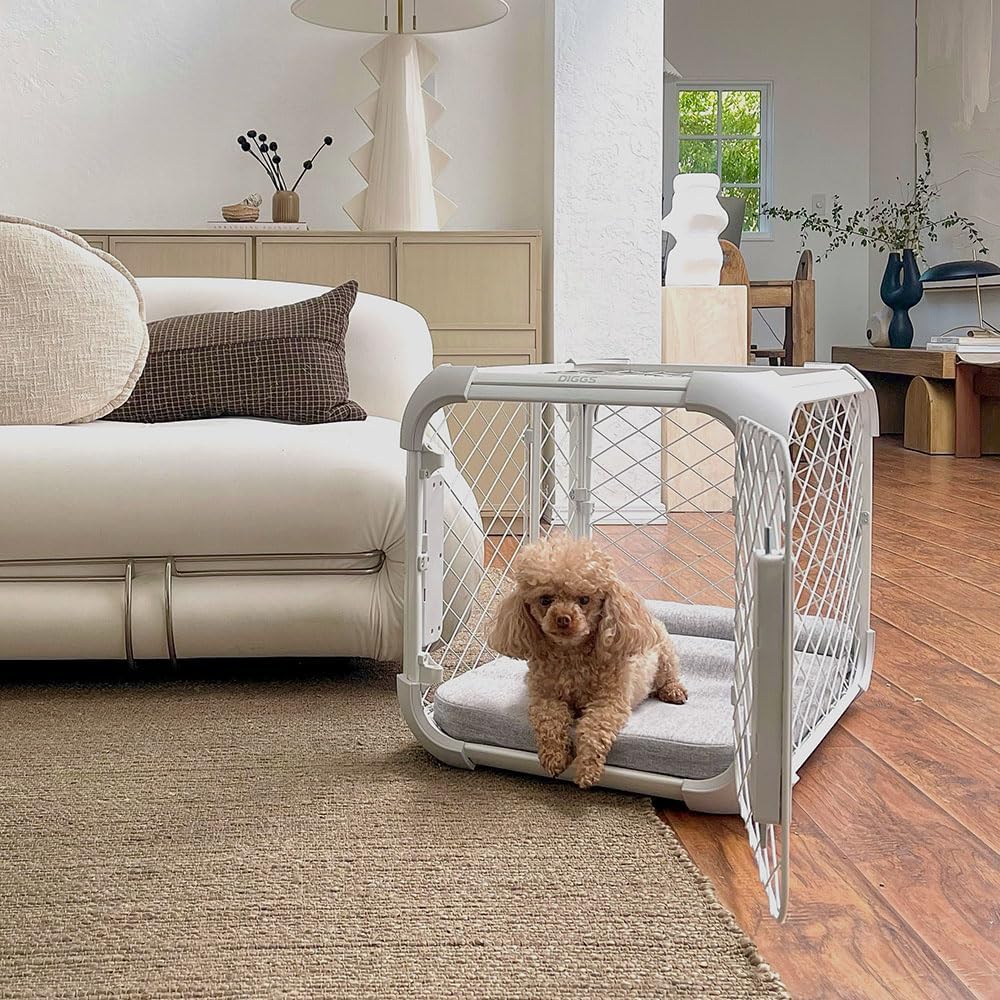 DIGGS Evolv Dog Crate - Slim, Durable Dog Kennel with Removable Ceiling Panel and Modular Design - Safe, Stylish, and Convenient (Ash, Medium)