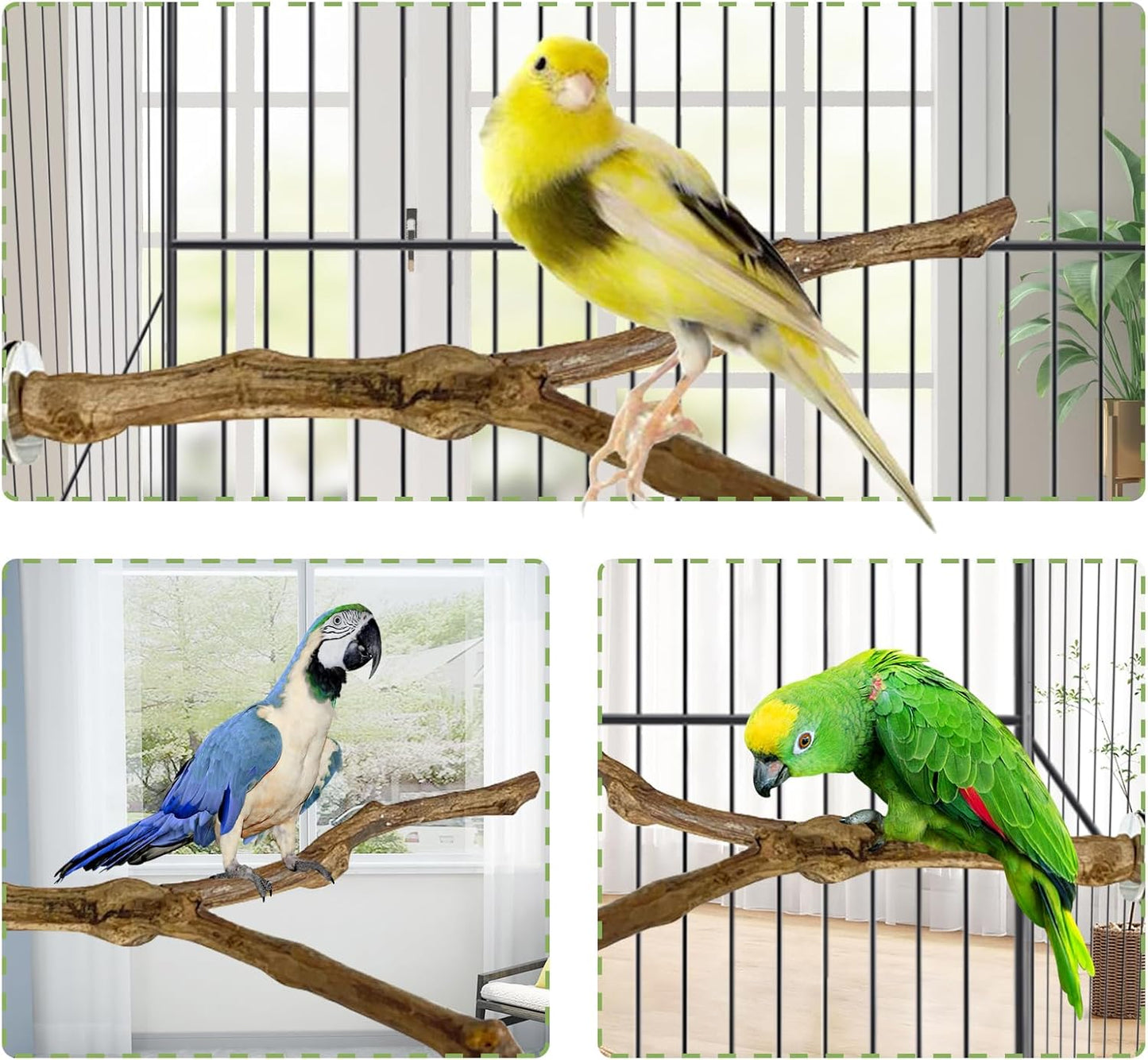 kathson Natural Parrot Perch Bird Stand Pole Wild Grape Stick Paw Grinding Fork Parakeet Climbing Standing Branches Toy Chewable Cage Accessories for Small Budgies Cockatiels Lovebirds 2PCS