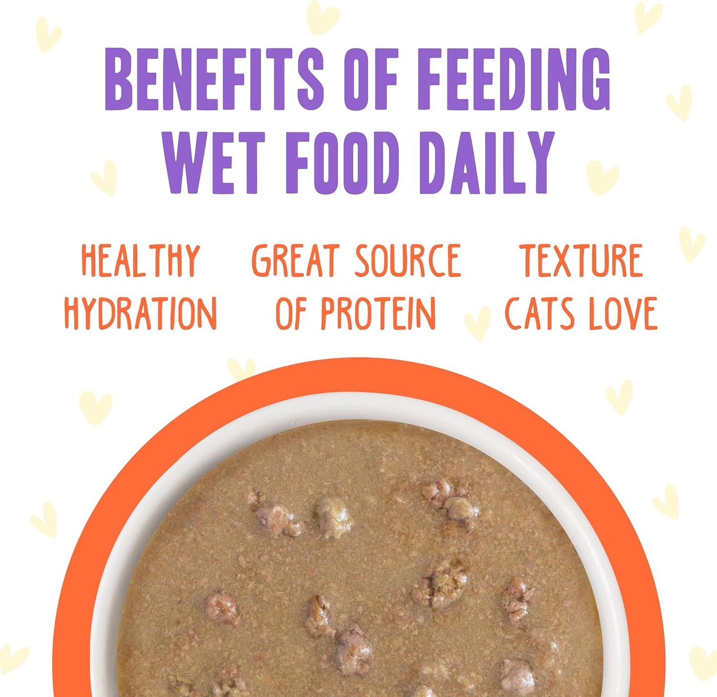 Weruva B.F.F. OMG - Best Feline Friend Oh My Gravy!, Chicken & Salmon Shine Bright with Chicken & Salmon in Gravy, 2.8oz Pouch (Pack of 12)