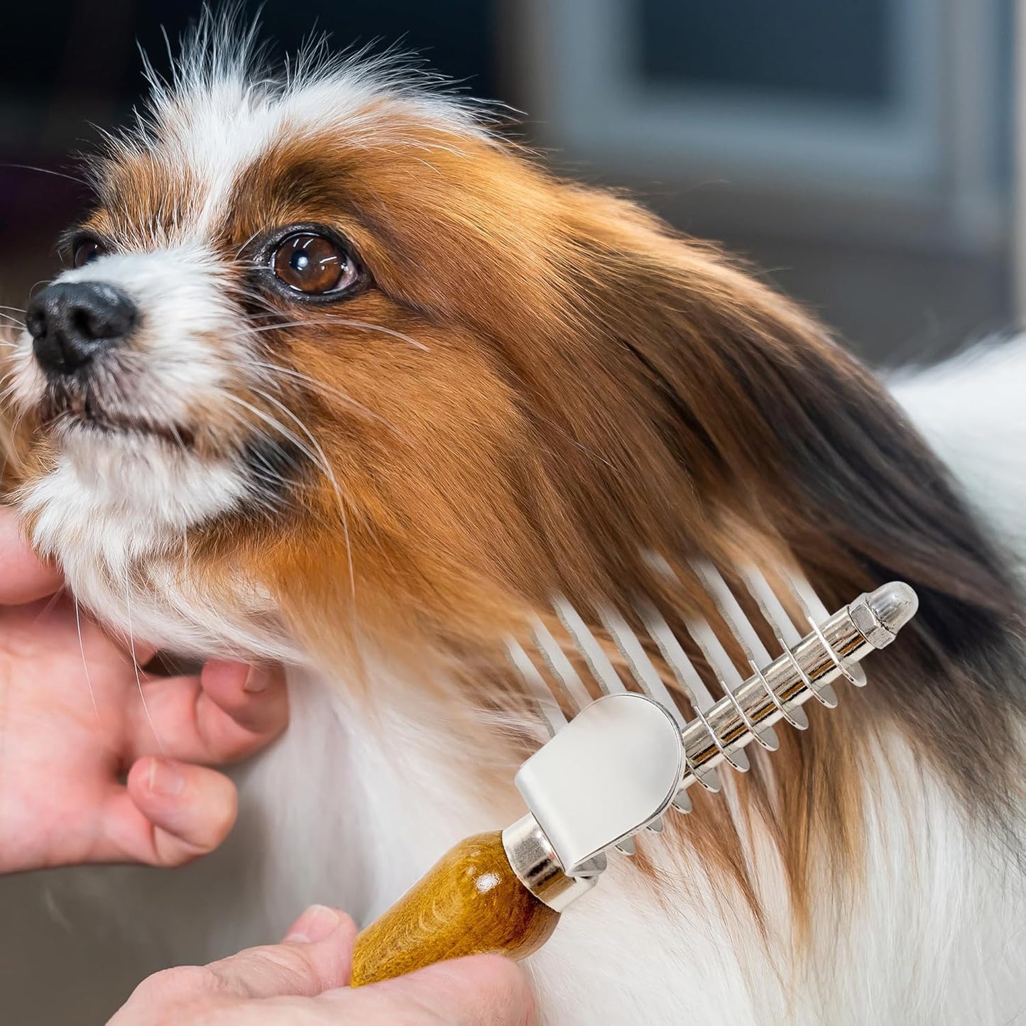 TAKAVU Dematting Fur Rake Comb Brush for Dogs & Cats - Undercoat Comb with Safety Blades for Removing Knots, Mats & Tangles - Grooming Tool for Poodles, Doodles, Long Haired Pets