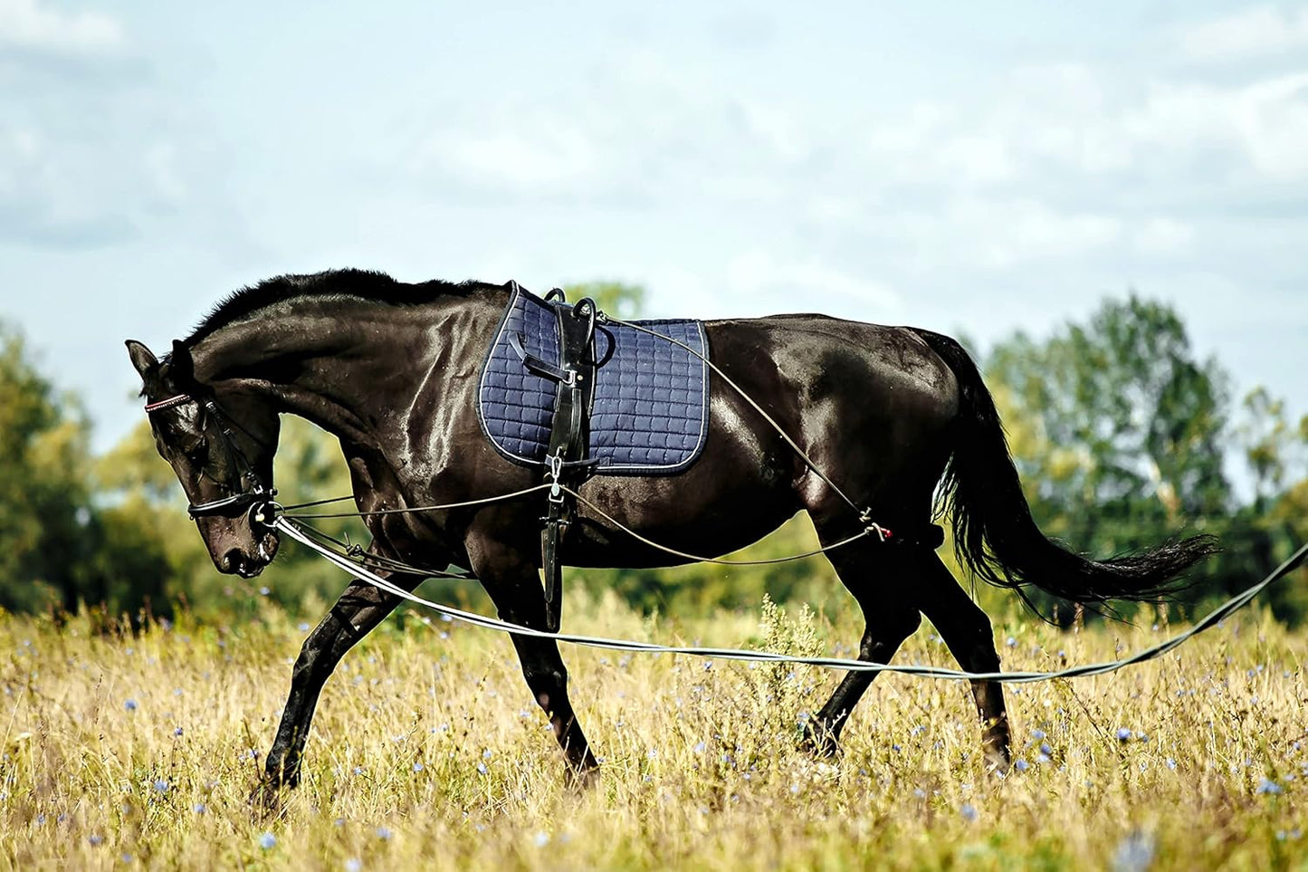Soft Padded Lunge Line Rein Lead for Horses 27ft Looped Handle Swivel Clip (Navy/Wine)