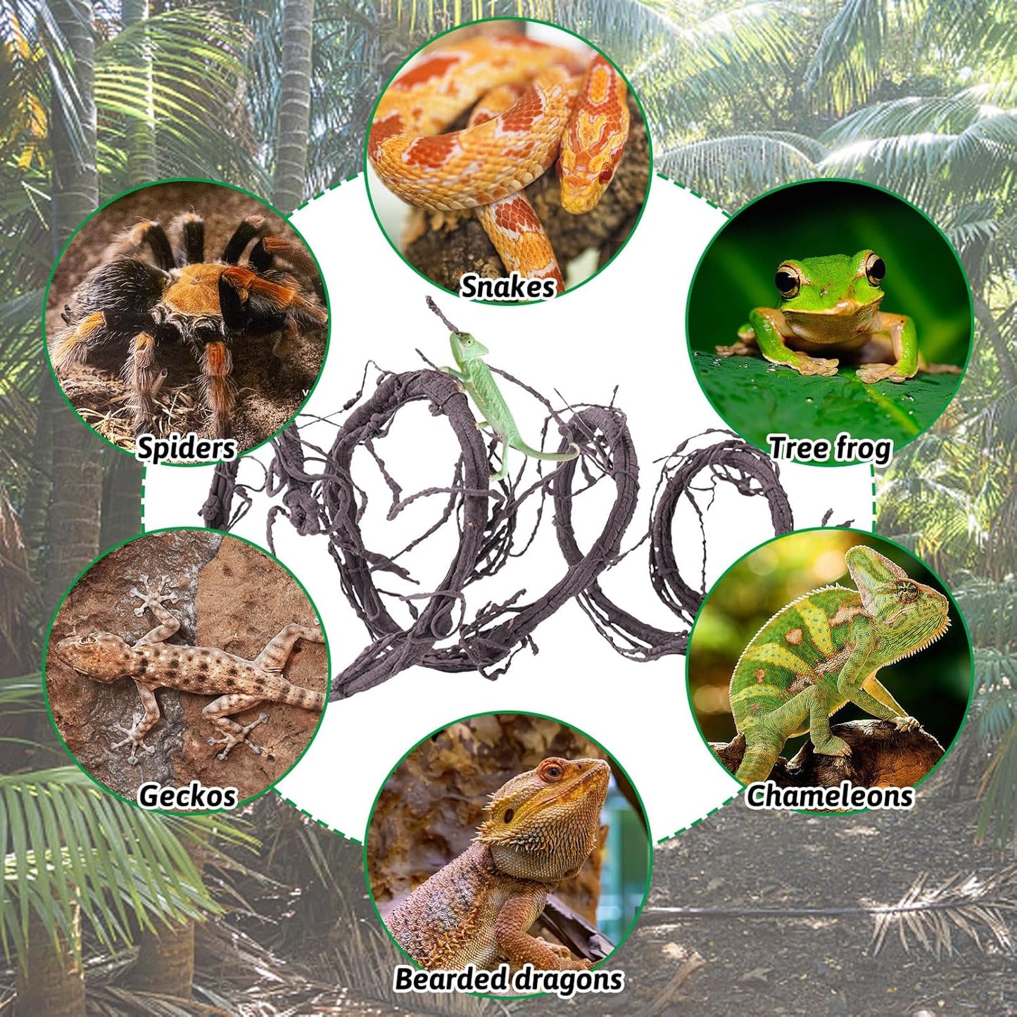 VCEPJH Long Reptile Vines Terrarium Plants 118 Inches Flexible Climbing Branch Snake Tank Accessories Greenery Habitat Decor for Bearded Dragon Chameleon Gecko Frog Lizard (S)