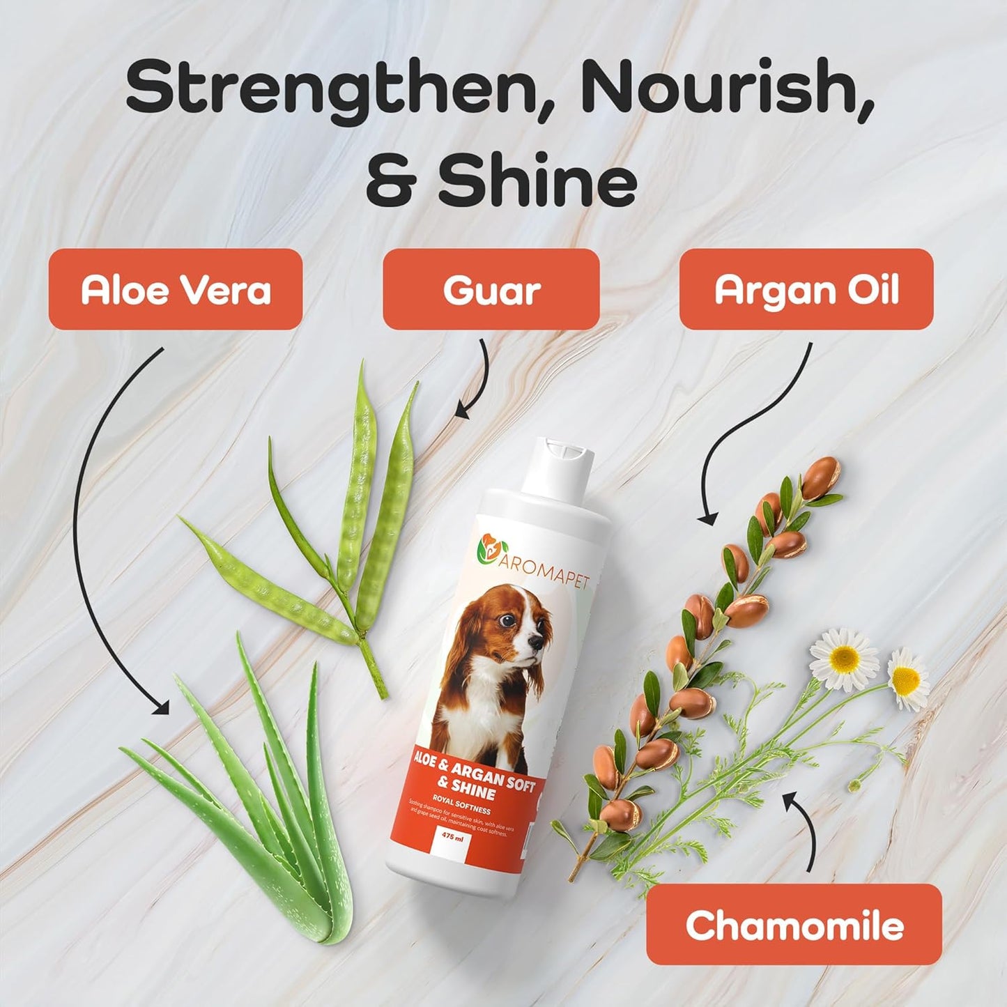 Sensitive Care -Tangle-Free-Silky Shine Softening and detangling Shampoo, Delicate Coat Clean & Odor Control Shampoo – Advanced Shine Formula for Dogs (Cavalier King Charles Spaniel, 16 Fluid Ounces)