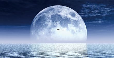 Moon Aquarium Background,Cool Sea Galaxy Parallel Space Themed Fish Tank Background, Cool Terrarium Background 24X12IN with 8 EVA Double-Sided Tape