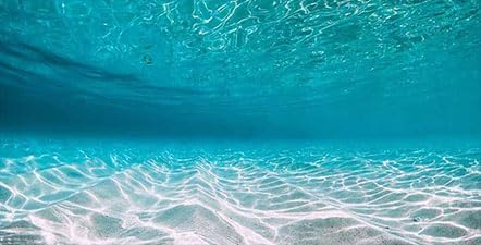 36X20IN Natural Undersea Aquarium Background, Undersea Beach Fish Tank Background, with 8 EVA Double-Sided Tape