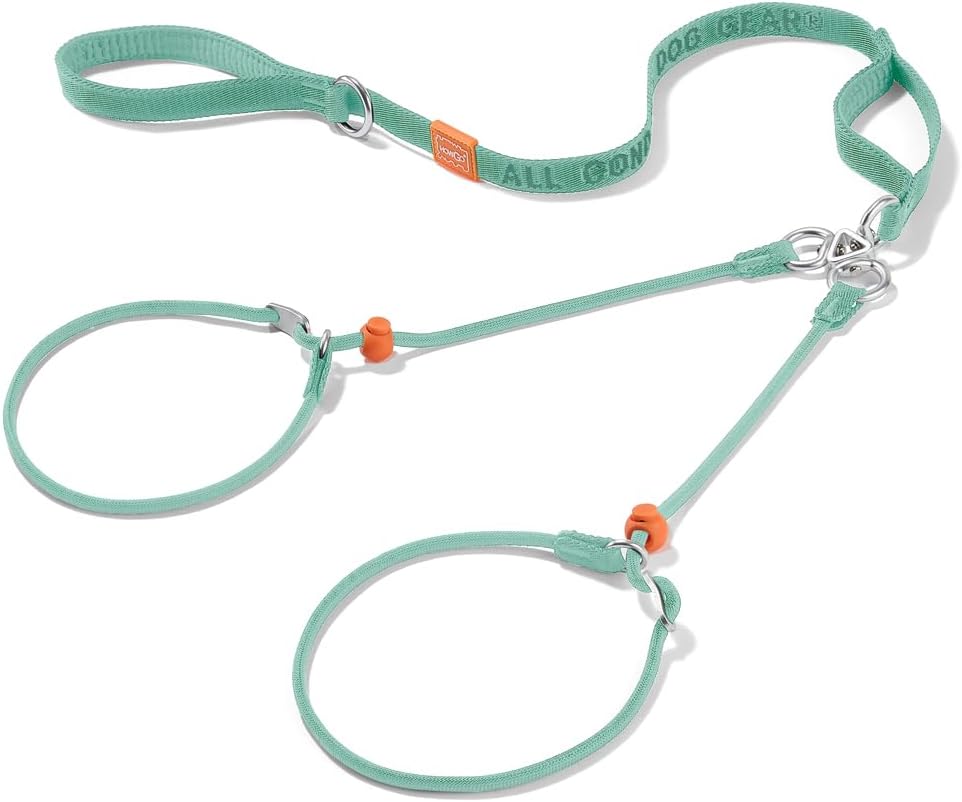Howgo Double Slip Leash Slip Lead with Two Handles| Dual Dog Slip Lead for 2 Dogs,360° Swivel No Tangle | Dog Training Collar | Double Clip Leash Coupler and Splitter (MintGreen, 6FT)