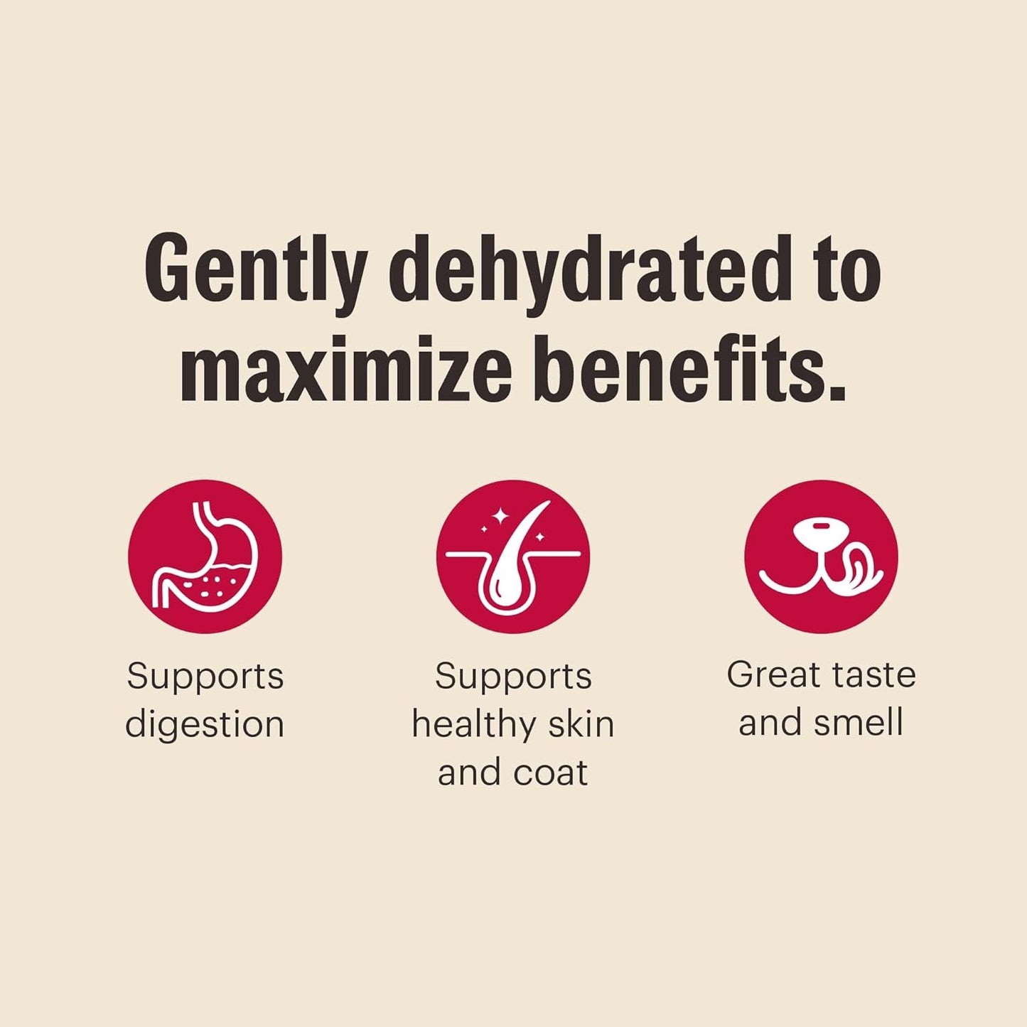 The Honest Kitchen Wholemade™ Grain Free Chicken Dog Food, 7 lb Box