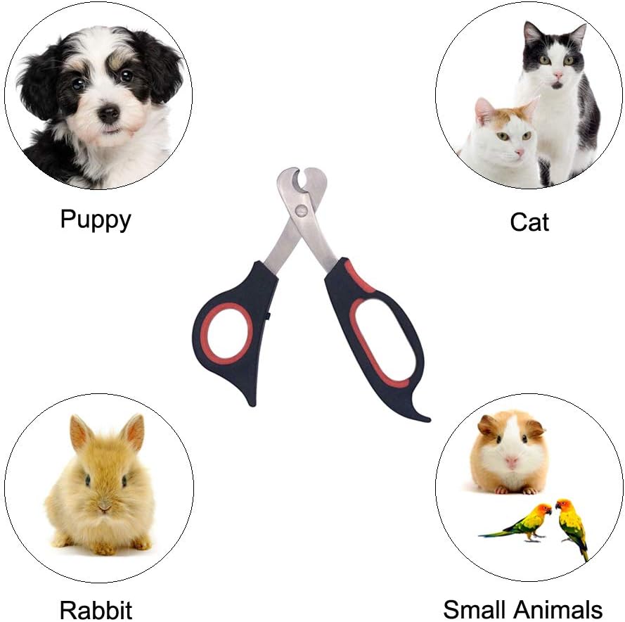 Professional Cat Nail Clippers Trimmer Scissors for Small Breeds, Puppies, Rabbits, and More, Safe Sharp Stainless Steel Blades, Non-Slip Big Handles, Easy at Home Grooming
