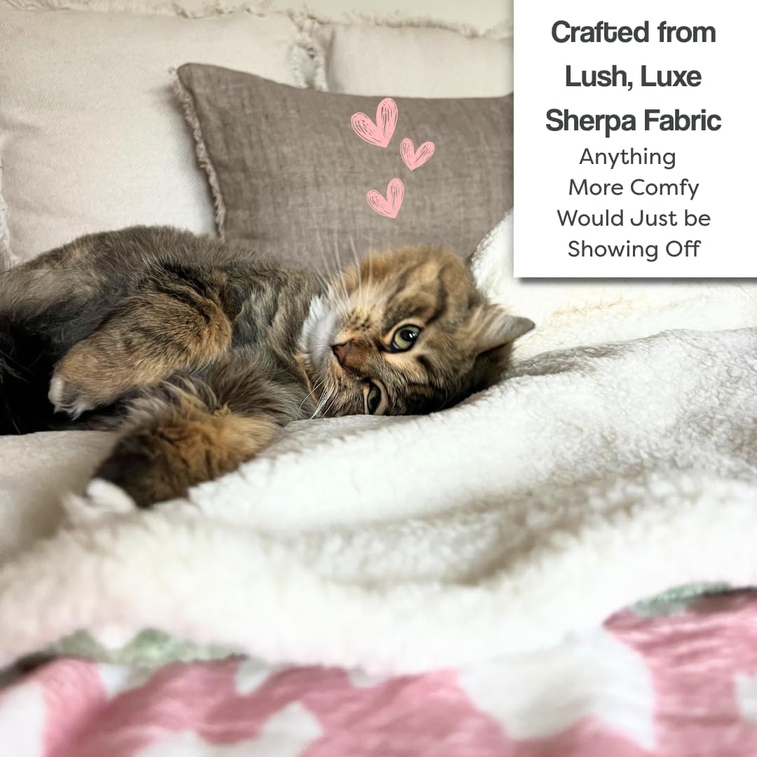 Cat Blanket for Indoor Cats – 29" Soft Sherpa Fleece Pet Throw, Washable Reversible Dog Blanket for Small Dogs, Cats, Kittens, Couch Bed Sofa Car Protector – Grey