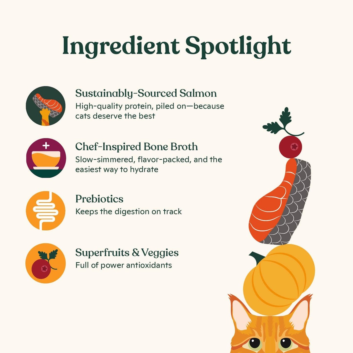 Made by Nacho Dry Cat Kibble 11lb Bag, High Protein and Grain-Friendly Premium Cat Food, Sustainably Caught Salmon and Pumpkin, Infused with Bone Broth for Hydration, Limited Ingredients, Single Bag