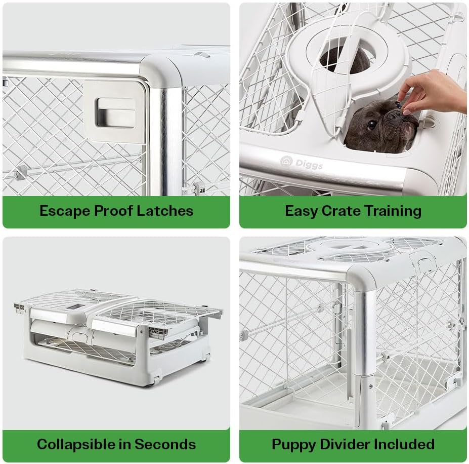 DIGGS Revol Collapsible Dog Crate with Wheels - Premium Portable Dog Crate - Safe, Stylish, and Convenient Indoor Kennel (Ash, Small)