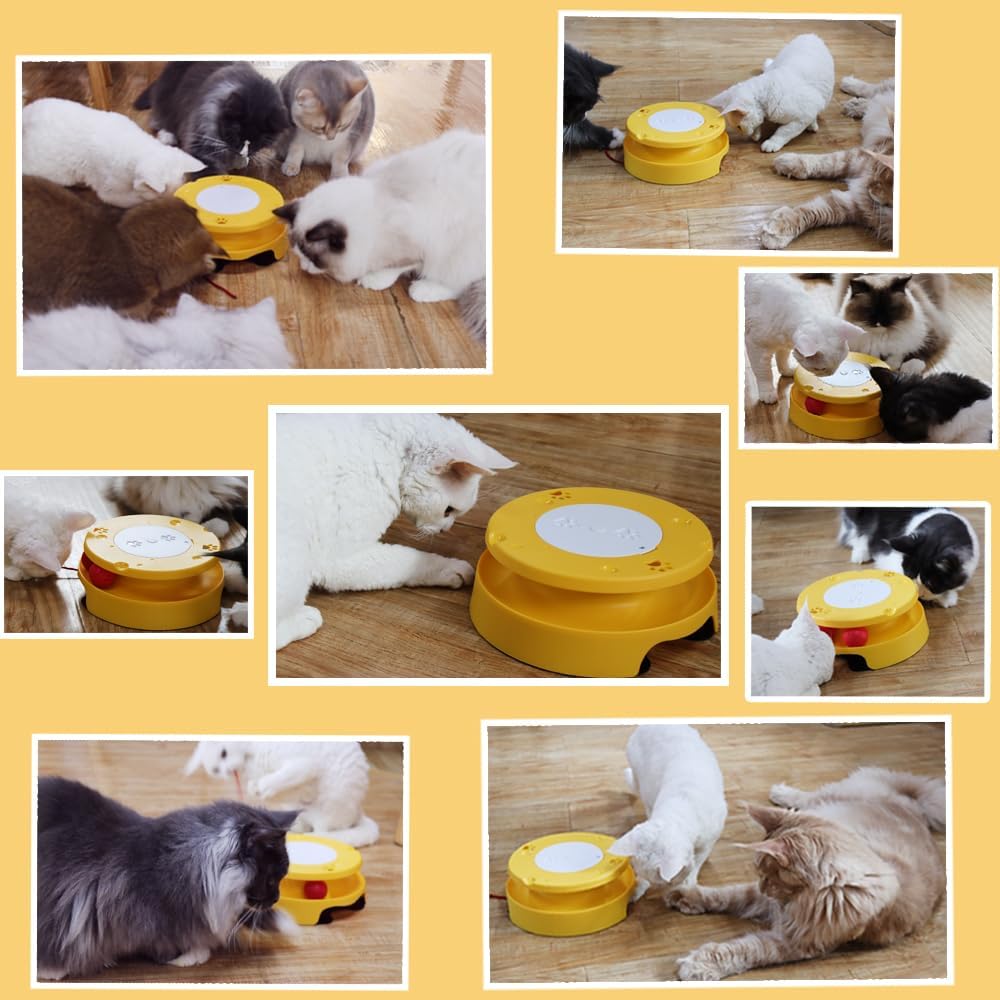 LASOCUHOO 2-in-1 Automatic Cat Toy with Track & Jumping String – Interactive Electric Toy with Rolling Balls & Bell, Battery-Powered (3 AA), Auto Shut-Off for Multi-Cat Play