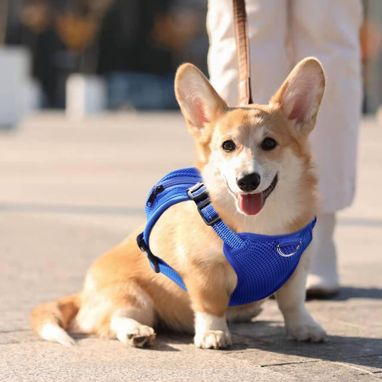 IDOMIK Dog Backpack Harness, No-Pull Dog Backpack with D-Ring for Small Medium Dogs, Cute Self Carrier Backpack for Dogs to Wear, Adjustable Dog Harness Backpack for Traveling Camping Hiking,Shark,M