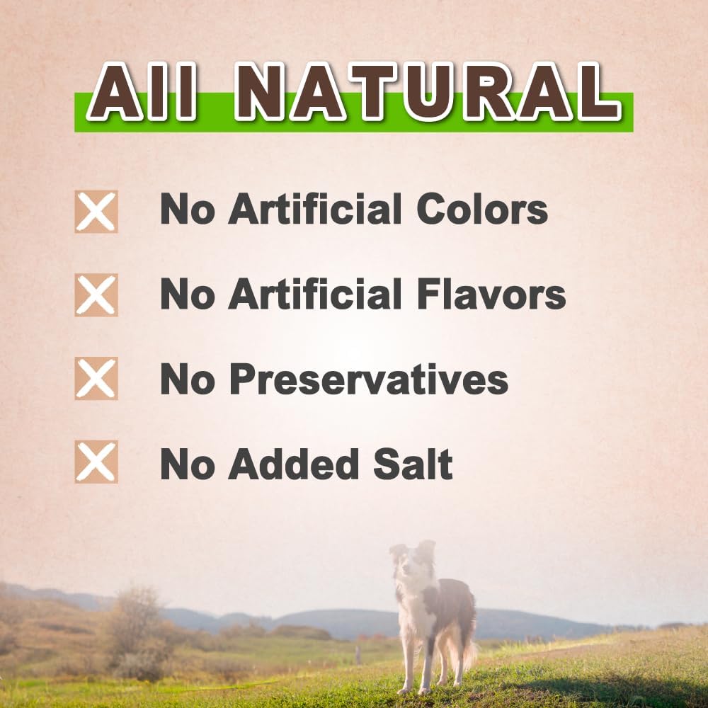 AFreschi Turkey Tendons for Dogs, USA-Sourced, Healthy Dog Treats, Rawhide-Free Puppy Chews, Long Lasting, All Natural, Hypoallergenic Dog Treats, Classic Series, Coil (L), 3 oz Pack