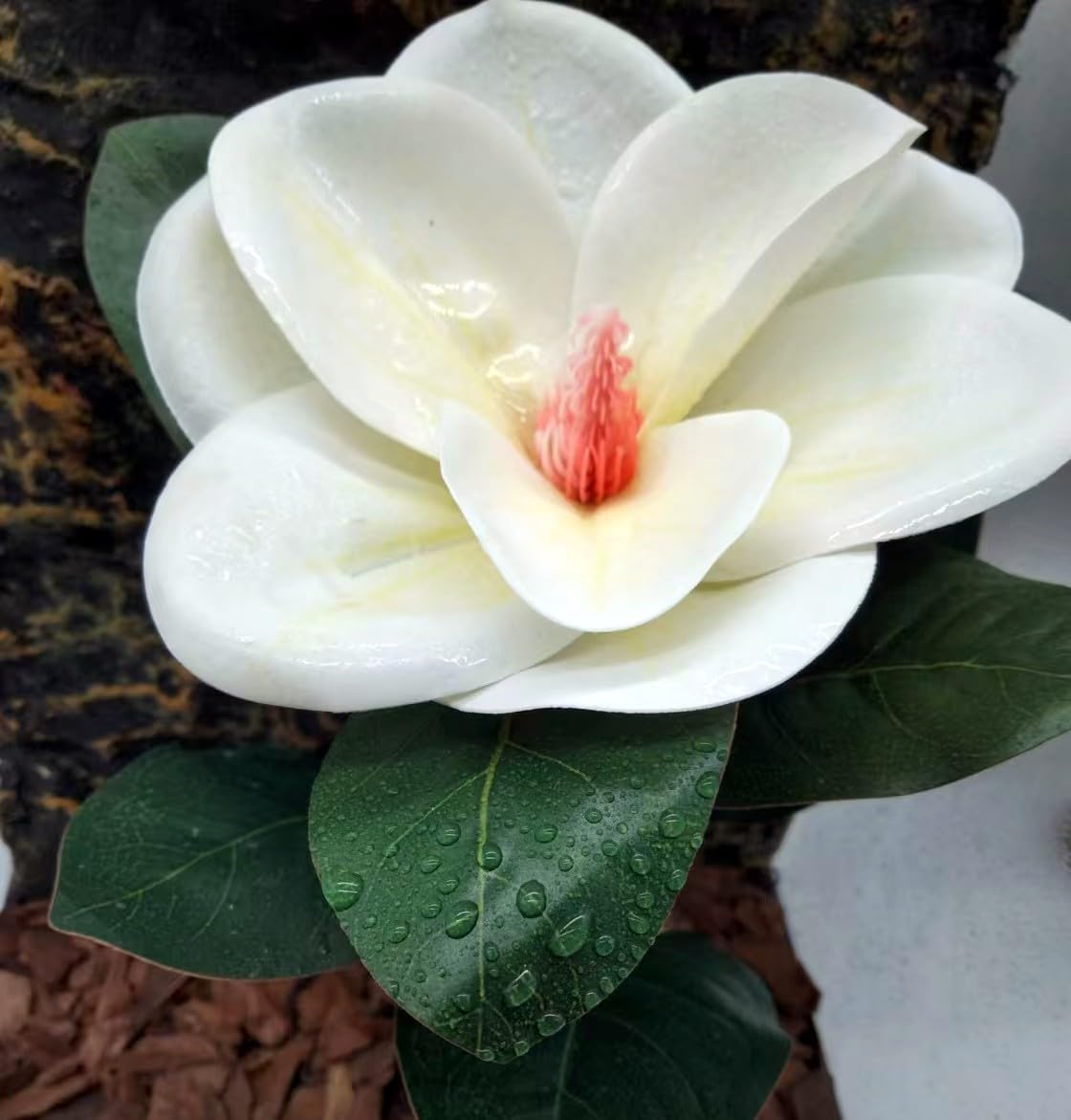 Reptile Plants Terrarium Reptile Tank Decorations for Bearded Dragon Lizard Snake Geckos Chameleon Amphibian Habitat Terrarium Decor (White)