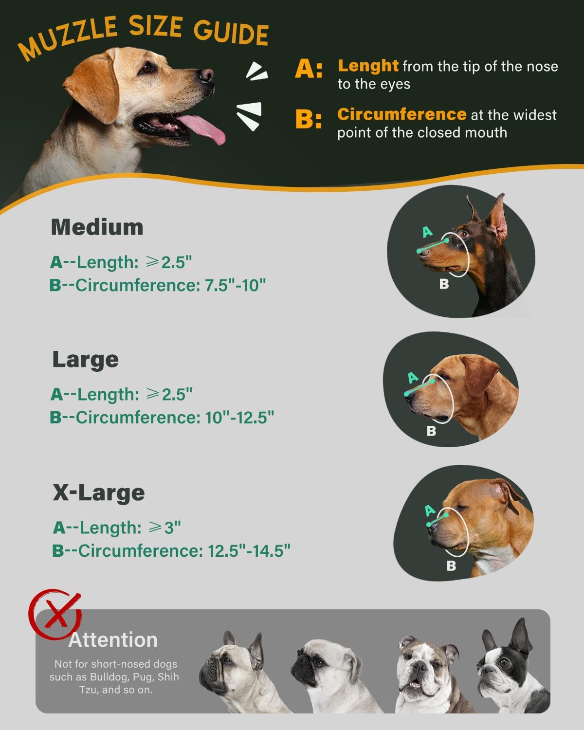 Dog Muzzle, Leather Basket Soft Muzzles Medium Large Breeds, Pitbull Dog Muzzle Amstaff Staffordshire Terrier, German Shepherd Dalmatian Doberman Adjustable (XL)