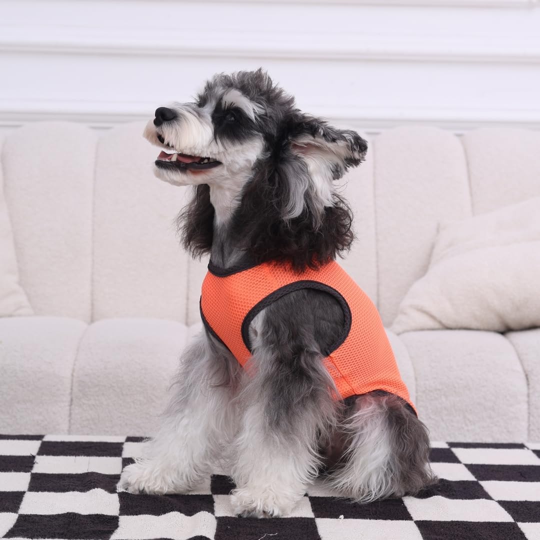 2 Pack Cooling Shirts for Dogs, Lightweight Mesh Breathable Dog Clothes for Small Dogs Boy Girl,Sun-Protection Sleeveless Shirts for Dog&Cat Puppy Vest Pet Apparel - S
