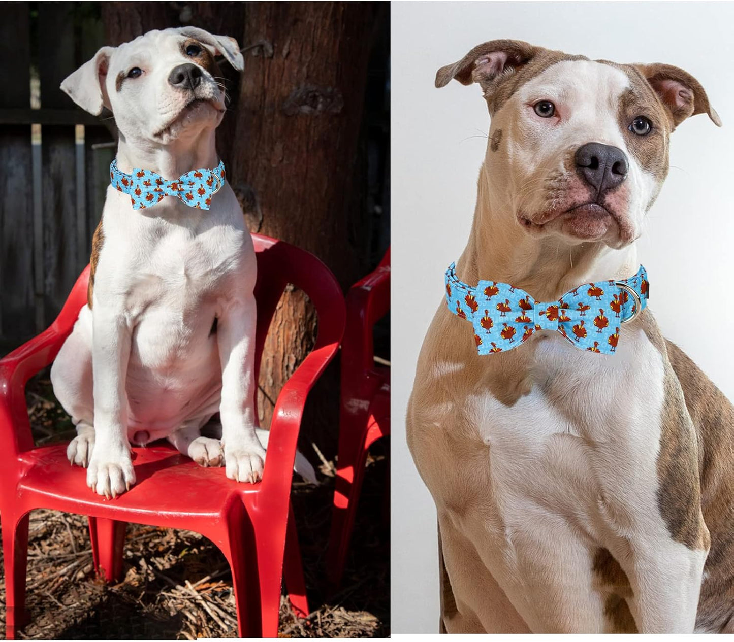 Unique style paws Christmas Dog Collar with Bow Tie Red Elk Cotton Collar Adjustable Puppy Collar for Small Medium Large Dogs-XL