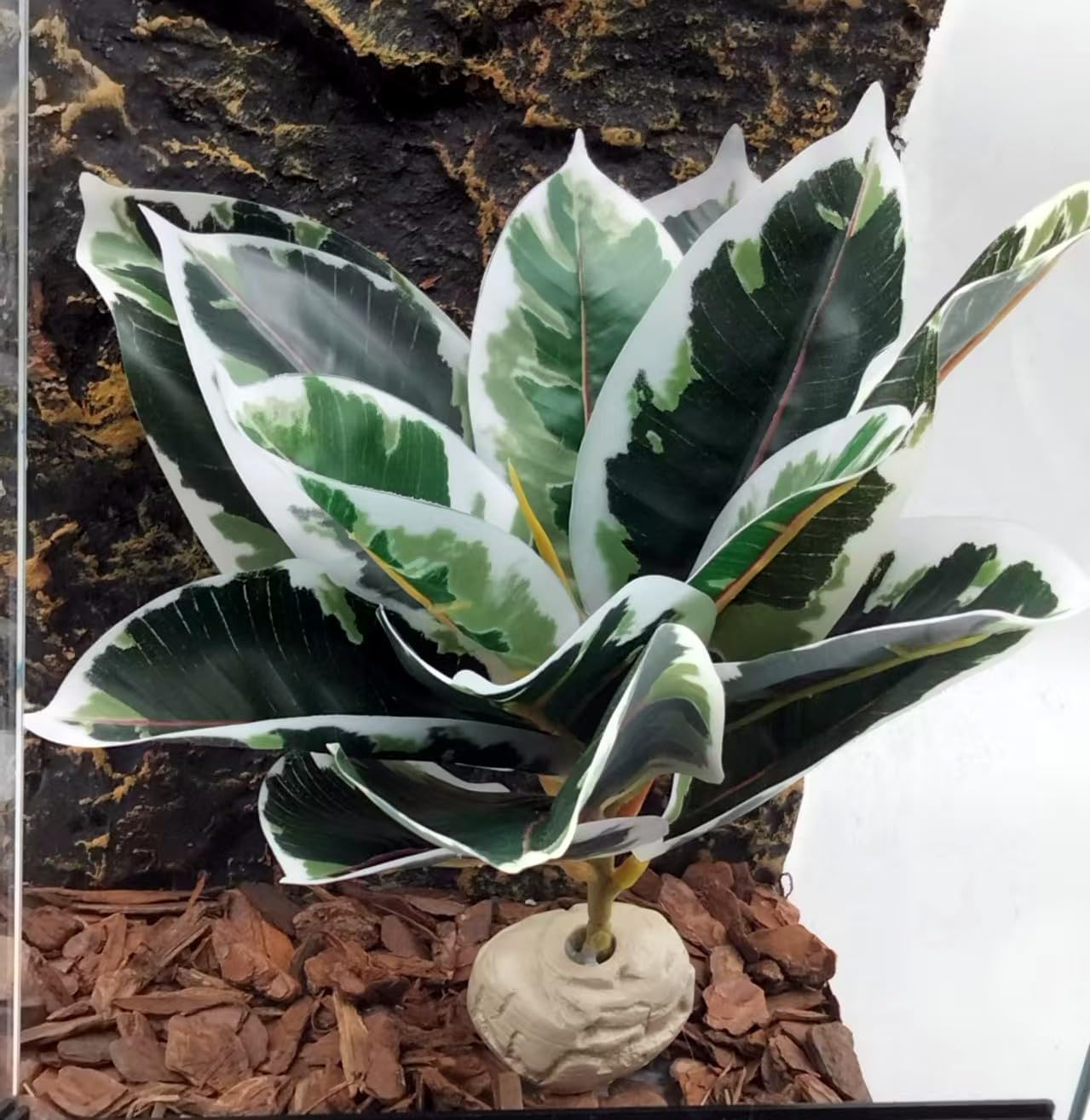 Reptile Plants Terrarium Reptile Tank Decorations for Bearded Dragon Lizard Snake Geckos Chameleon Amphibian Habitat Terrarium Decor (Green+White)