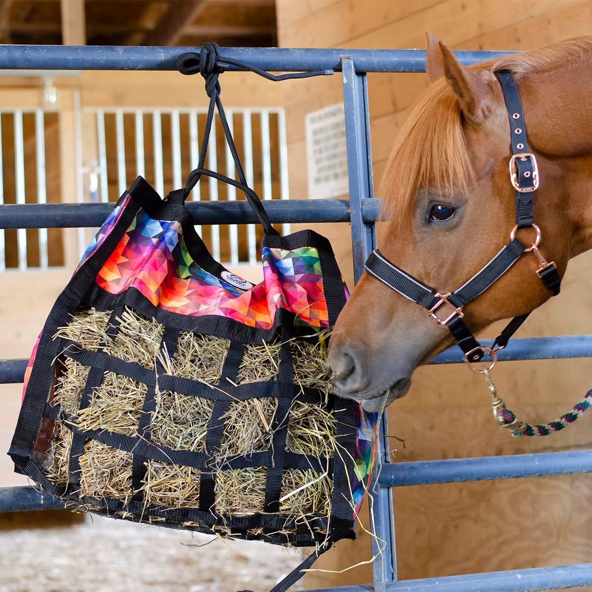 Derby Originals Scratchless Slow Feeder Horse Hay Bag with Super Tough Bottom and 6 Month Warranty (Purple with Charcoal Trim)