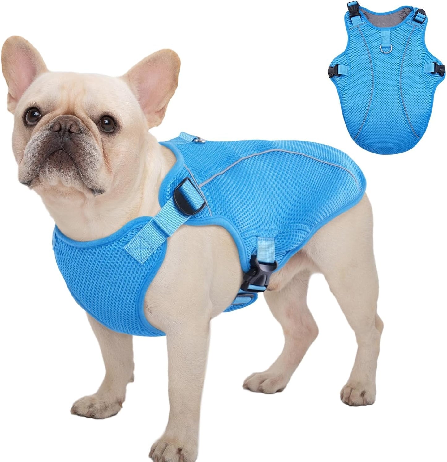 Kuoser Dog Cooling Vest Harness, Small Puppy Cooler Jacket with Adjustable Buckle for Outdoor Beach, Hiking, Training Blue S
