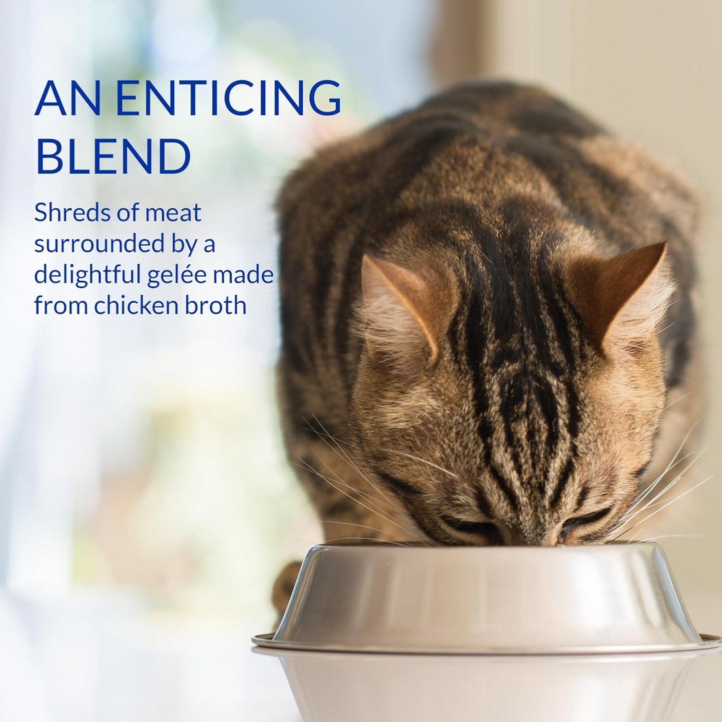 INABA Churu Stew for Cats, Side Dish Pouch with Vitamin E, 1.4 Ounces per Pouch, 12 Pouches, Chicken Variety