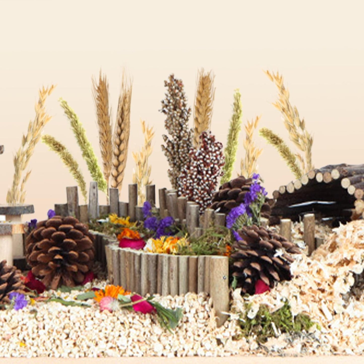 Natural Ear of Grain Flower&Herb Bedding Mate Habitat Decor, Adding Fun Hamster Accessories for Hamsters Gerbils Lemming