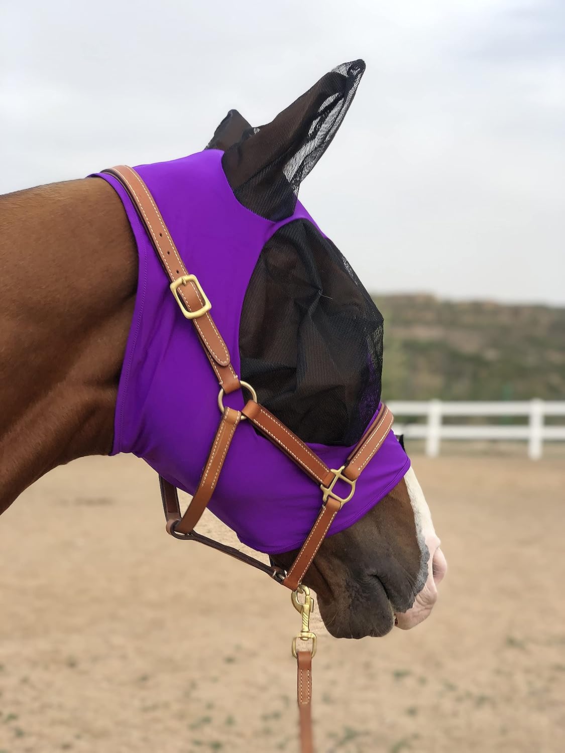 Horse Fly Mask Super Comfort Horse Fly Mask Elasticity Fly Mask with Ears We Only Make Products That Horses Like… (Dk Purple, M)