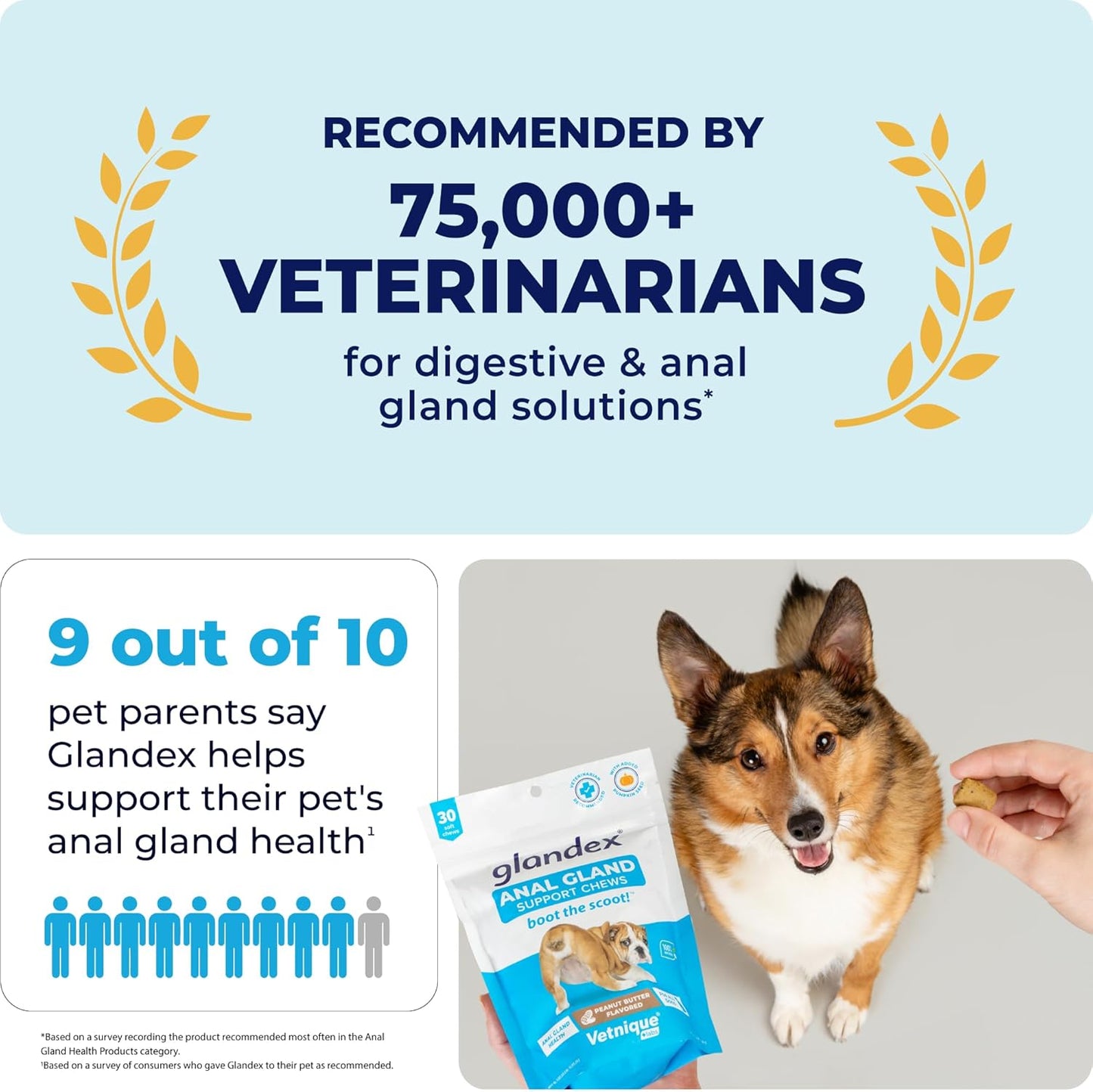 Vetnique Labs Glandex Anal Gland Soft Chew Treats with Pumpkin for Dogs Digestive Enzymes, Probiotics Fiber Supplement for Dogs Boot The Scoot (Pork Liver Chews, 60 Count)