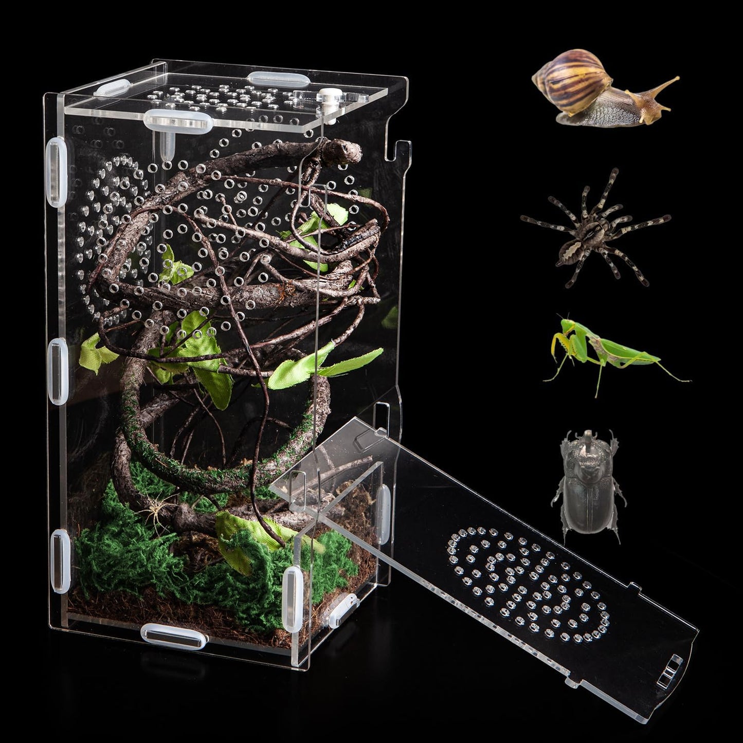 Jumping Spider Enclosure, Acrylic Praying Mantis Habitat, 8"*4"*4" Insect Terrarium, Small Reptile Cage Accessories with Secure Lock for Arboreal Tarantula, Snails, Bug, Lizard