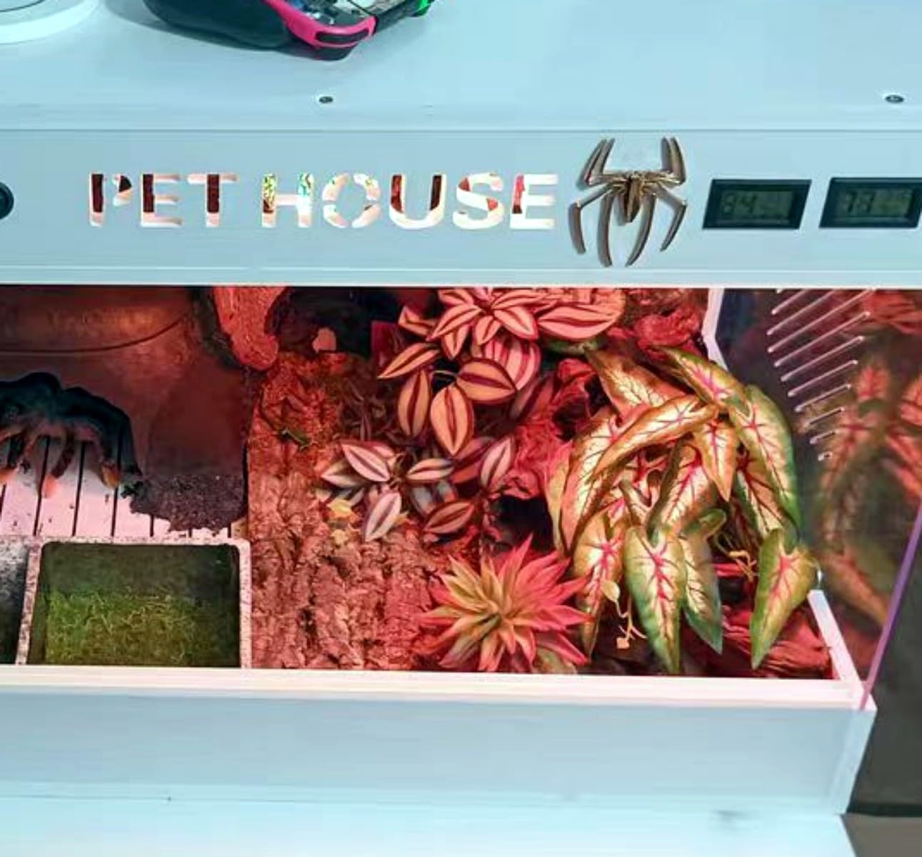 Reptile Plants for Terrarium, Amphibian Habitat Decor Artificial Hanging Plants with Suction Cup, Artificial Plants for Gecko Chameleon Snake Tortoise Tank Accessories. 2-Pack (Zebrina)