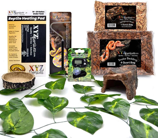 Boa Constrictor Habitat 10 Gallon Terrarium Kit