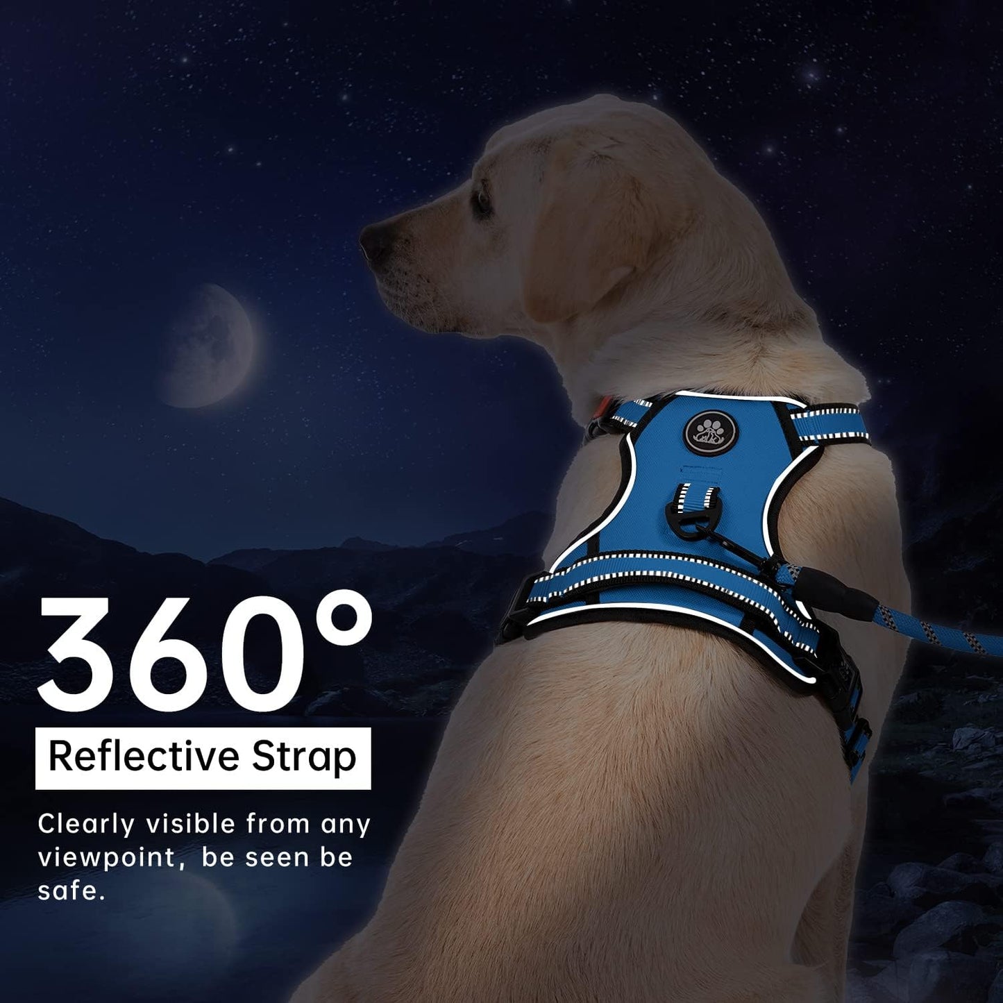 IVY&LANE No Pull Dog Harness for Small Dogs, Dog Vest Harness with Leash, Safety Belt and Storage Strap, Fully Adjustable Harness, 360° Reflective Strip, Soft Handle (Blue, S)