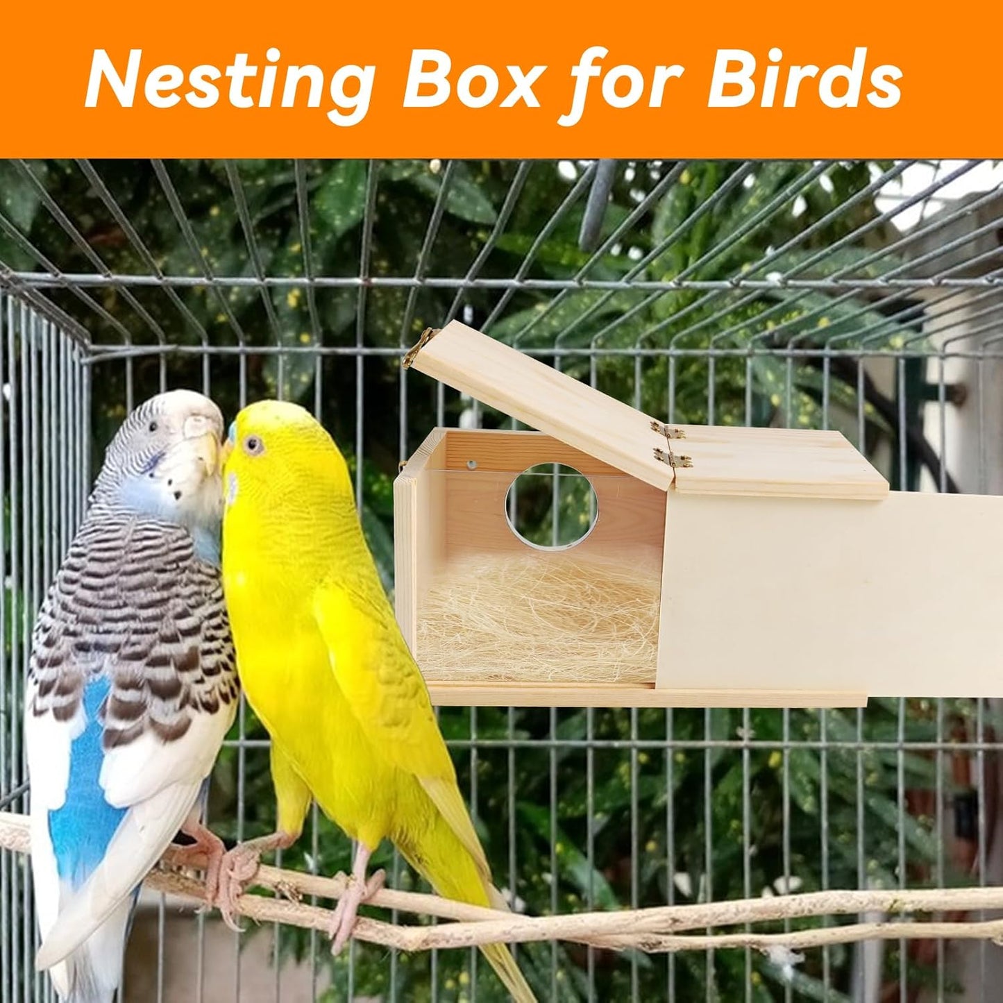 PINVNBY Wooden Bird Nesting Box with Transparent Visual Window,Parakeet Nest Breeding Box with Detachable Board Acrylic Cockatiel House for Budgie Lovebird Conure Parrot (L)