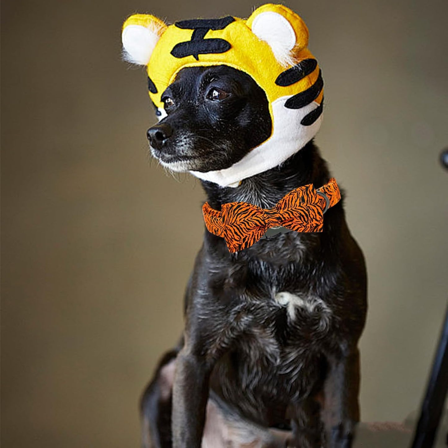 Elegant Little Tail Tiger Print X-Small Puppy Dog Collar, Cotton, Buckle Closure, Distinctive Design