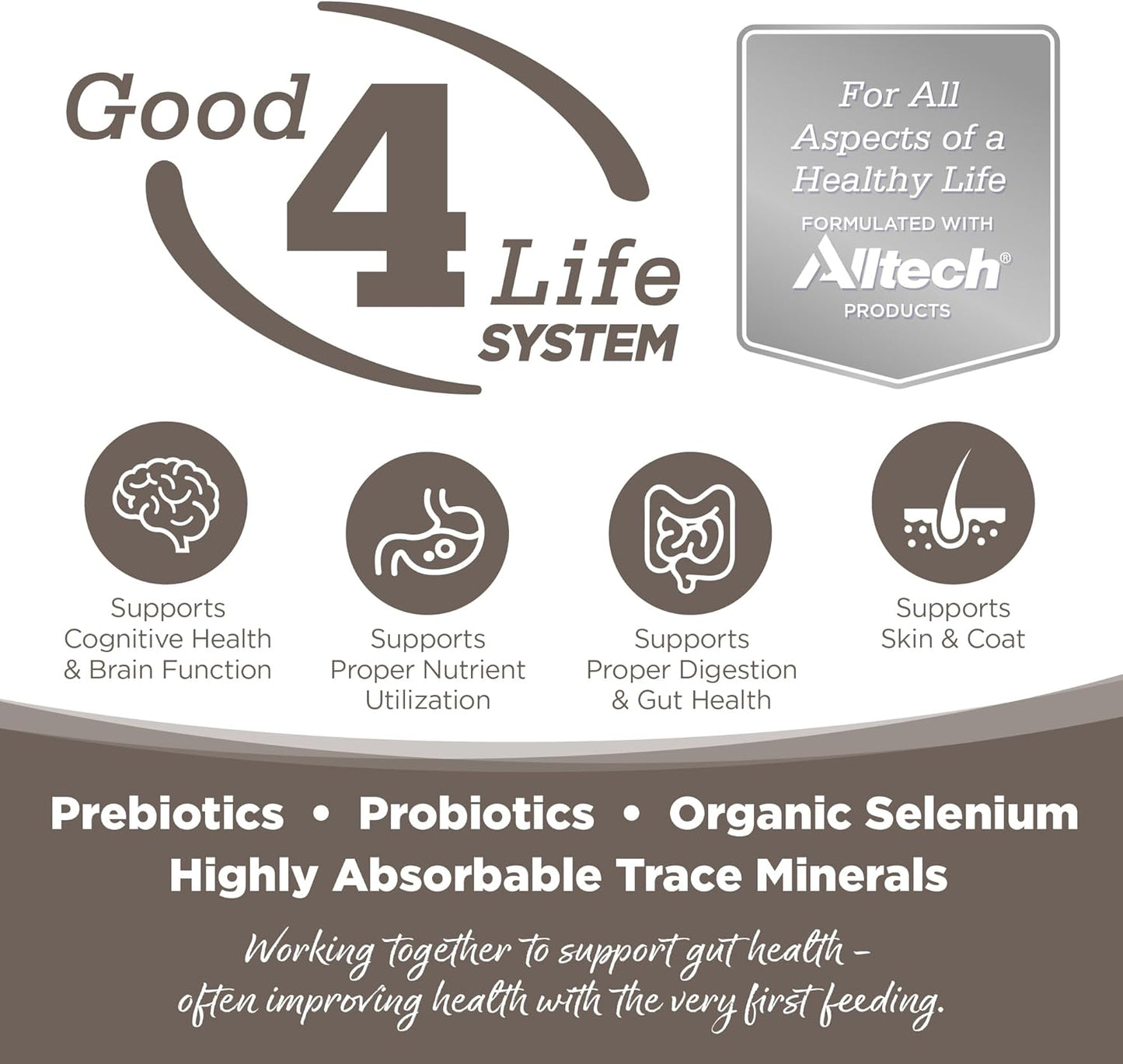 NutriSource Dry Dog Food for Seniors, Chicken and Rice, 4LB