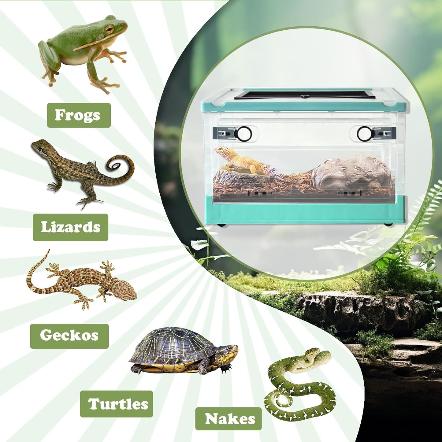 PINVNBY Plastic Reptile Feeding Box with Wheels,Reptiles Breeding Enclosure Cages Transparent Amphibians Habitat Terrarium Tank Portable Transport Container for Lizard,Bearded Dragon(Blue)