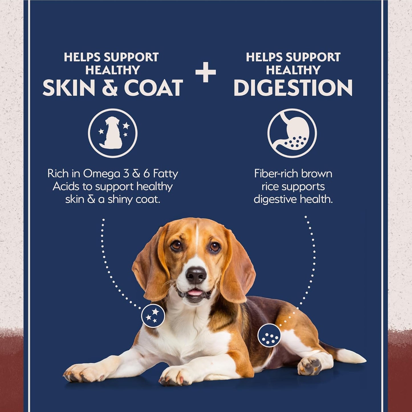 Natural Balance Limited Ingredient Adult Dry Dog Food with Healthy Grains, Beef & Brown Rice Recipe, 4 Pound (Pack of 1)