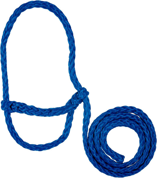 Weaver Livestock Poly Rope Sheep Halter, Modern Style Braid Sheep and Goat Rope Halter, Adjustable Lamb Halter Lead, Livestock Sheep Showing Supplies