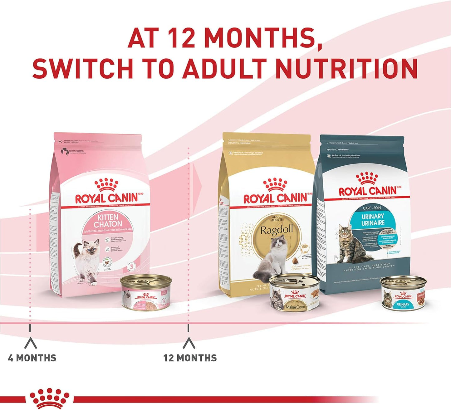 Royal Canin Feline Health Nutrition Kitten Loaf in Sauce Canned Cat Food, 3 oz can (Pack of 24)