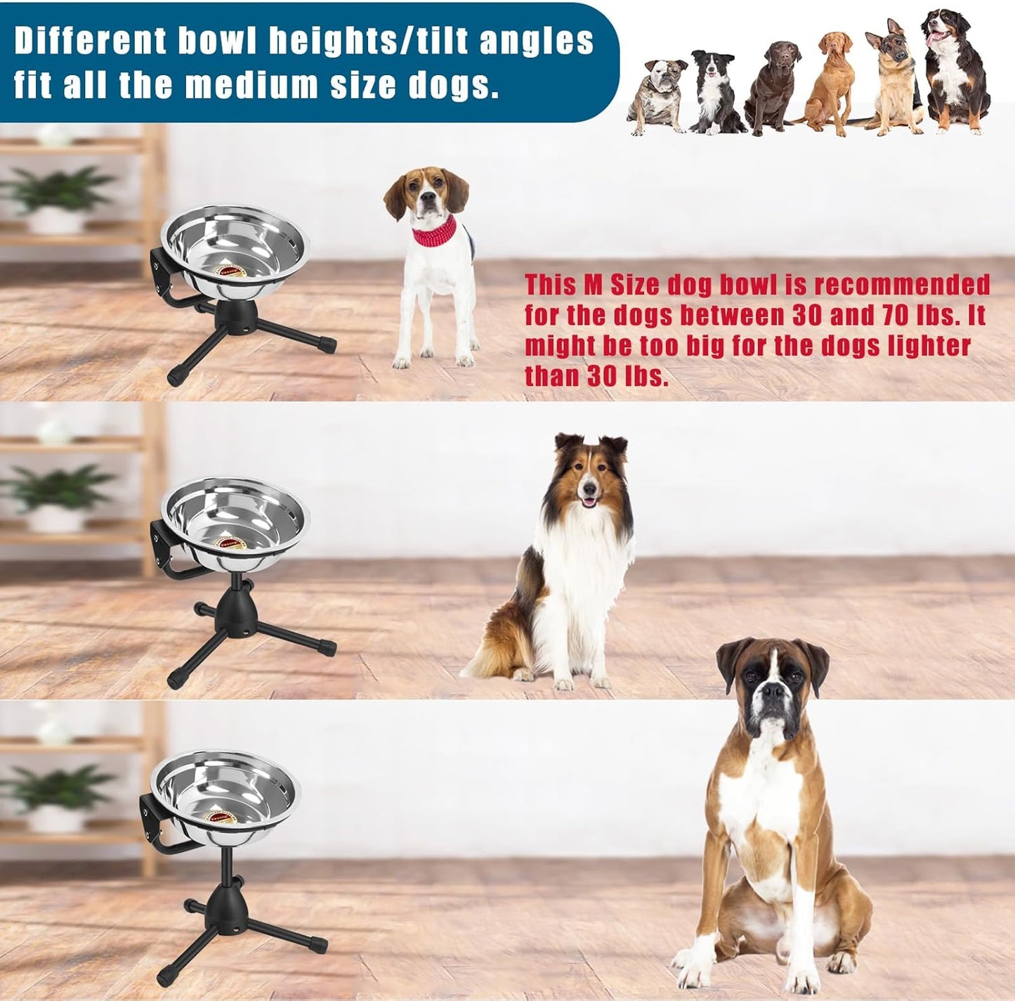 2 Pack Elevated Bowls With Adjustable Metal Stand, Medium Size for Dogs 30-70 lbs, 0.5 Gal 2 Liter, Stainless Steel Food Water Bowl, Height Adjustable Non-Slip Raised Set