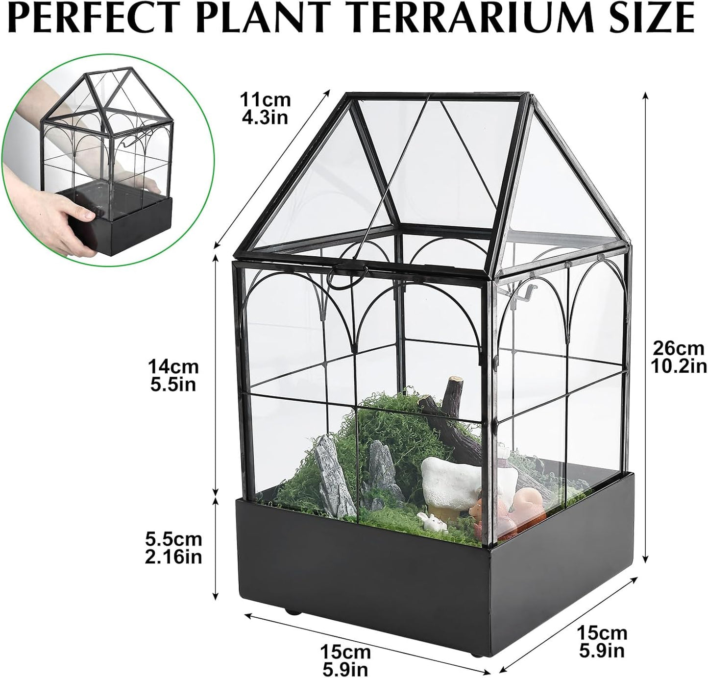 HighFree Glass Terrarium with Metal Tray, Glass Greenhouse Terrarium Kit for Succulents, Cacti, Snails, Spiders, and Miniature Reptiles, Black (Small-5.9" L x 5.9" W x 10.2" H)