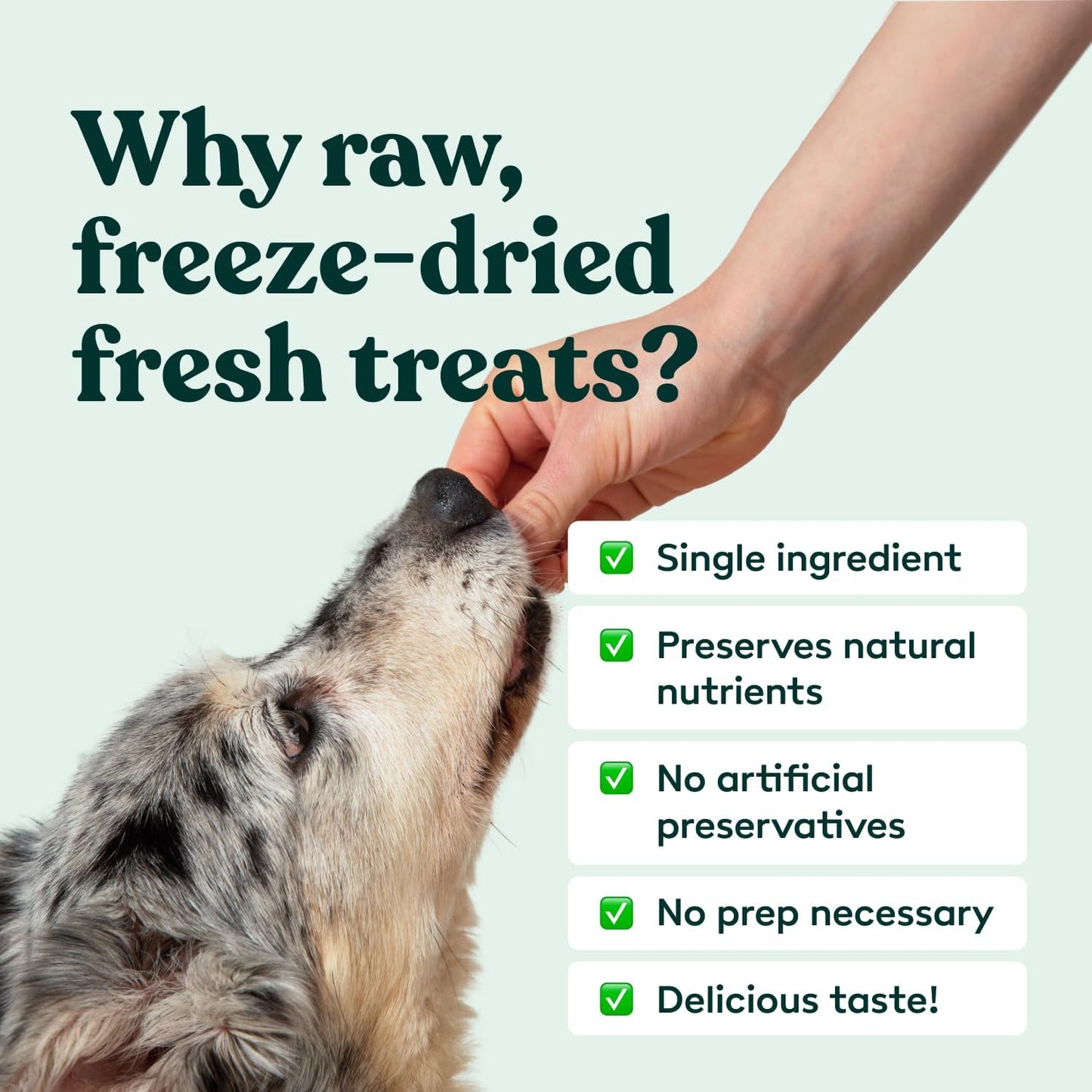 Little Hunter Freeze-Dried Raw Quail Egg Yolk for Dog & Cat Treats | Single-Ingredient High Protein, High Omega-3, Grain & Gluten-Free Training Reward | All Natural, Healthy Pet Treats, 4.2 oz