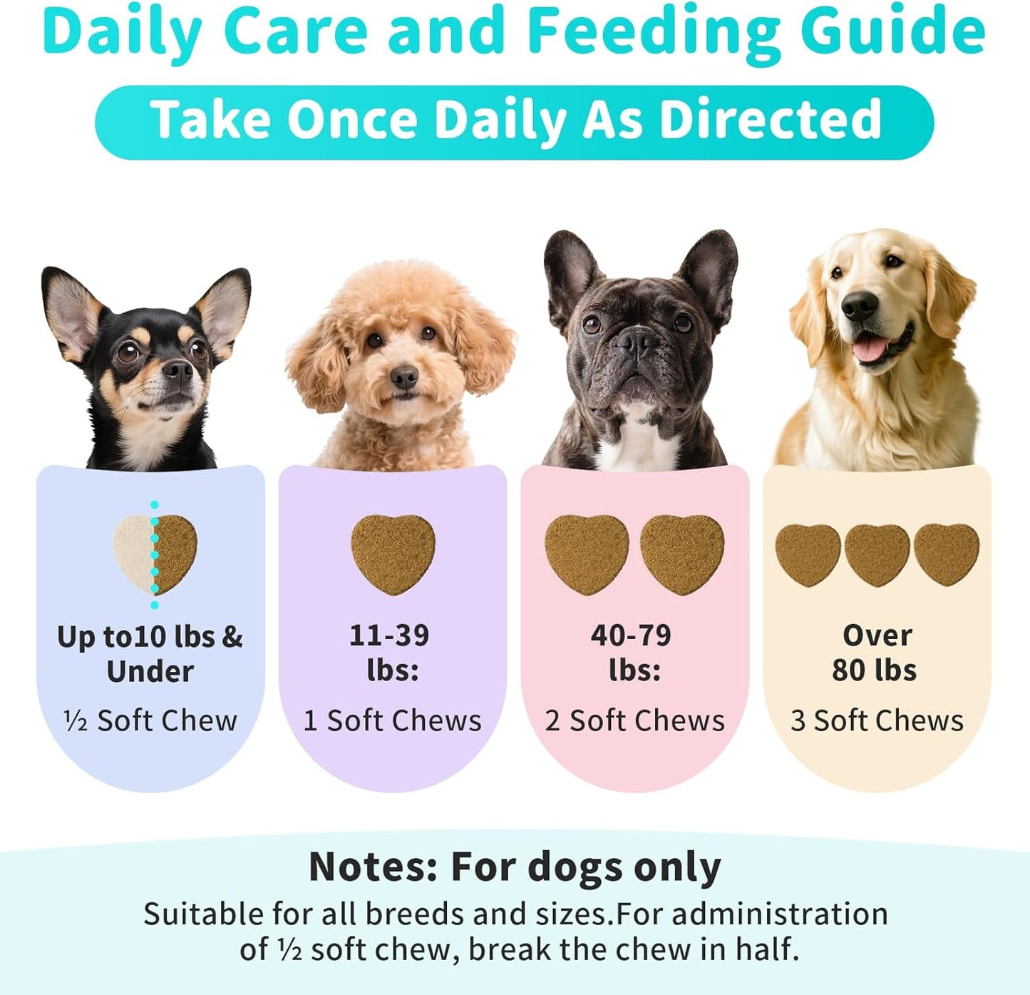 Probiotics for Dogs, Digestive Enzymes for Gut Health Support, Dog Fiber Supplement with Pumpkin for Diarrhea & Bowel Support, Upset Stomach & Gas Relief, Constipation - 90 Count Beef Flavor