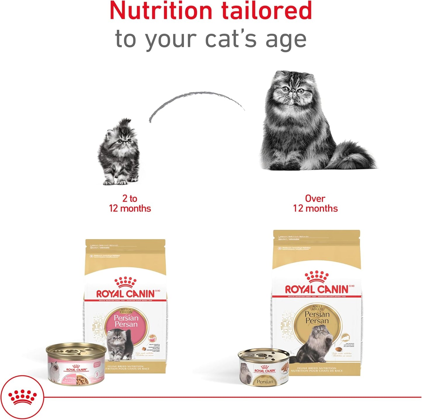 Royal Canin® Feline Breed Nutrition™ Persian Adult Loaf in Sauce Canned Cat Food, 3 oz, 24-Pack