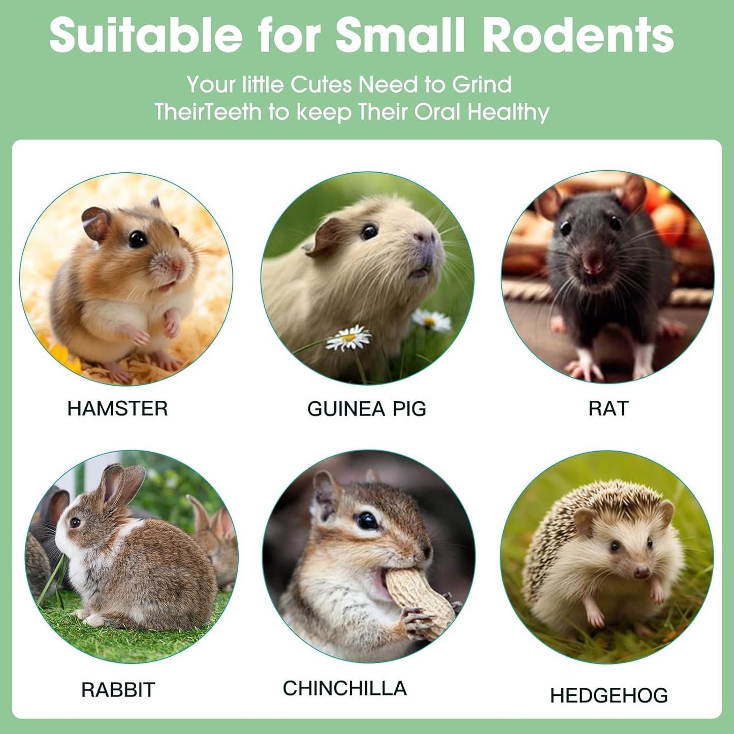 WDEFUN 3 PCS Bunny Chew Toys, Natural Hanging Rabbit Chew Toy Treats for Guinea Pigs Hamsters Gerbils Chinchilla and Other Small Pets for Teeth Grinding