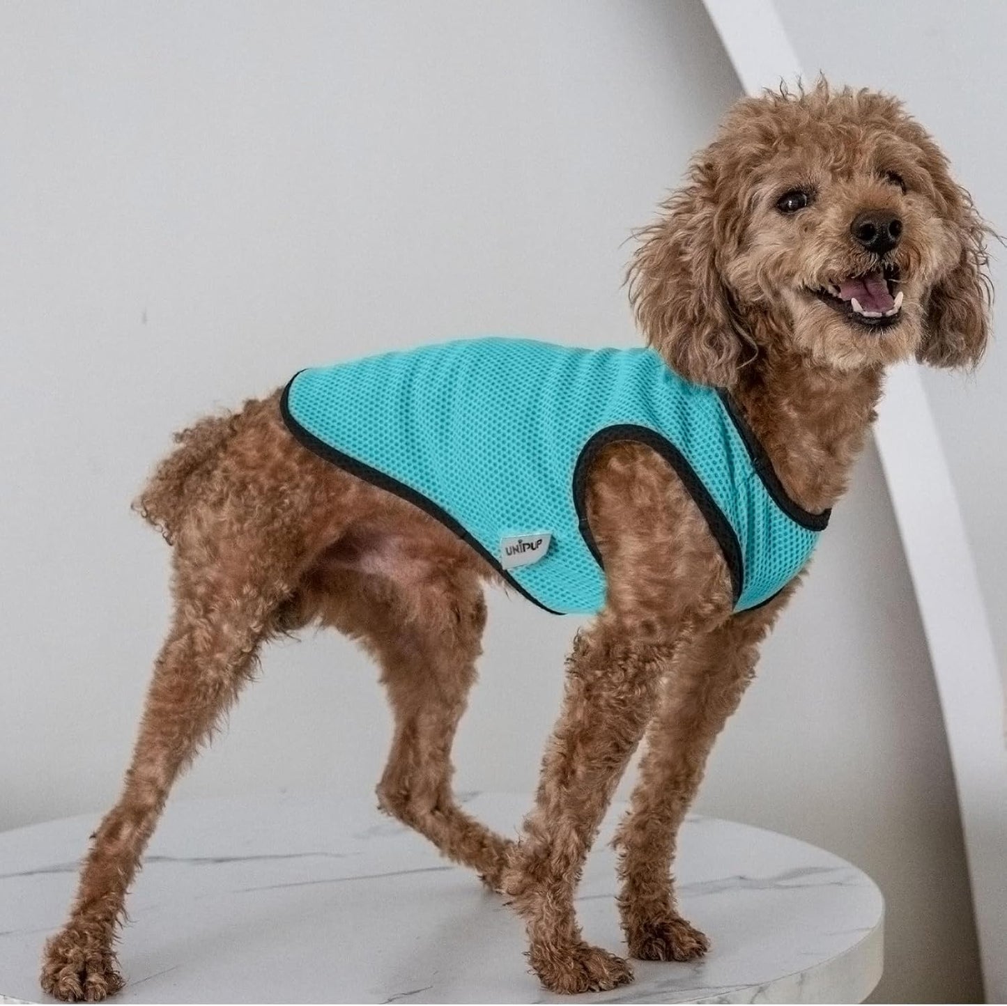 2 Pack Cooling Shirts for Dogs, Lightweight Mesh Breathable Dog Clothes for Large Breed Dogs Boy Girl,Sun-Protection Sleeveless Shirts for Dog&Cat Puppy Vest Pet Apparel - XXXL