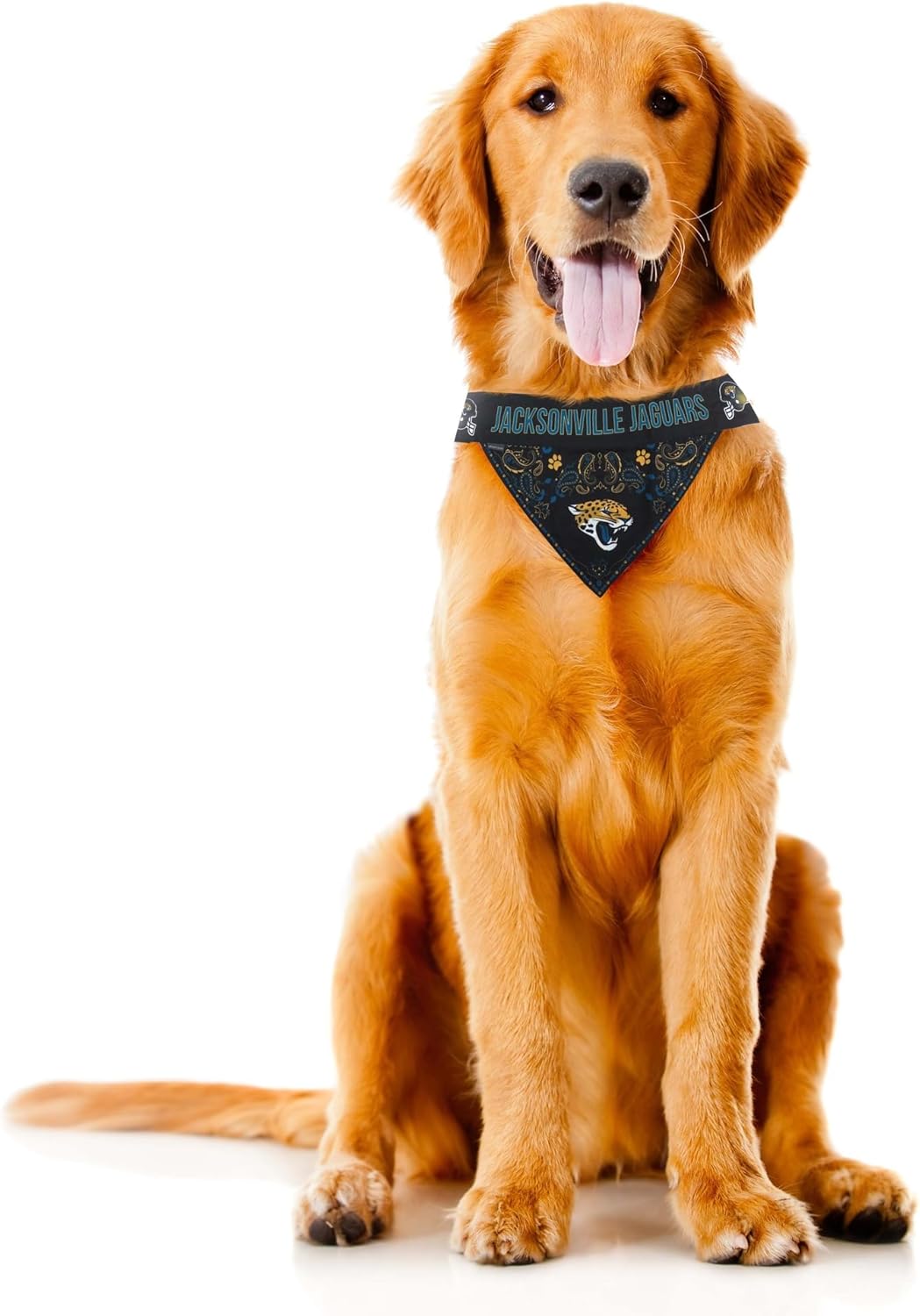 Littlearth NFL Pet Bandana - Reversible