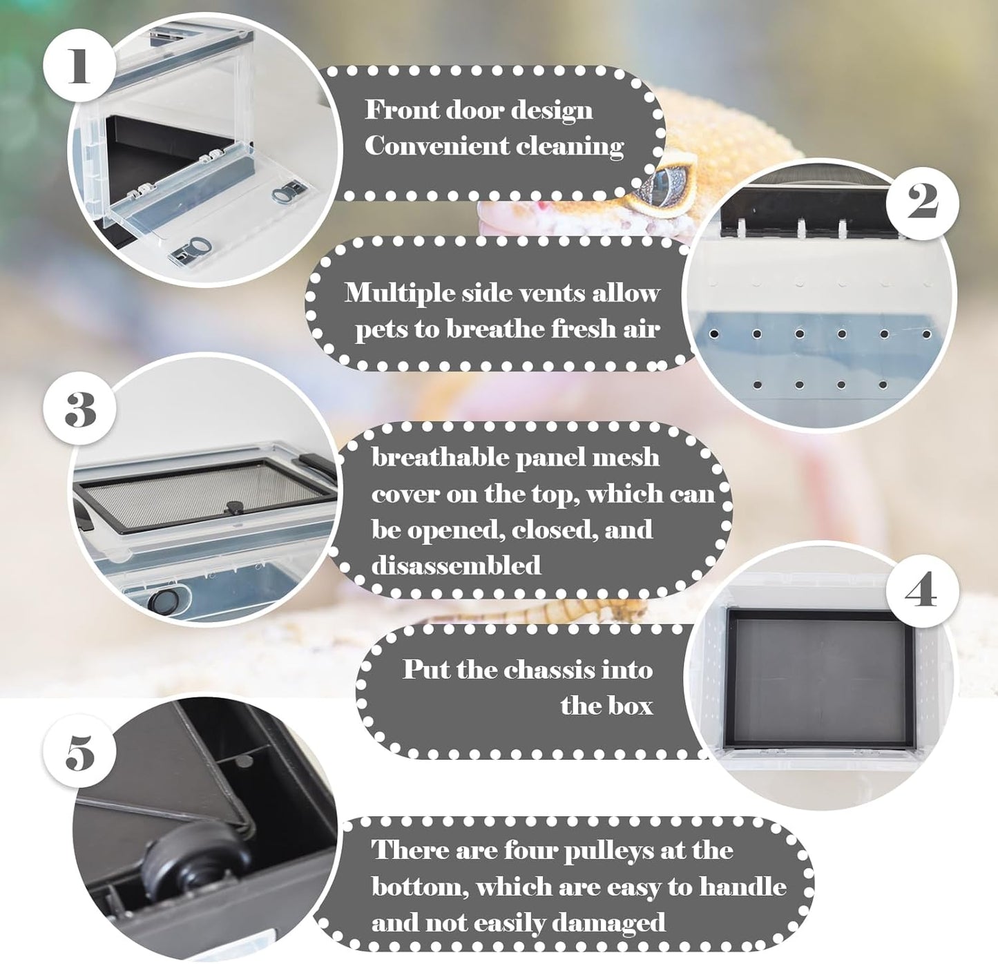 PINVNBY Plastic Reptile Feeding Box with Wheels,Reptiles Breeding Enclosure Cages Transparent Amphibians Habitat Terrarium Tank Portable Transport Container for Lizard,Bearded Dragon(Black)